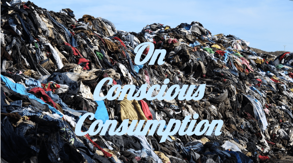 No One is a Perfect Consumer, But it is Important to be a Conscious One 